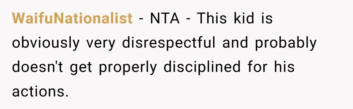 WaifuNationalist − NTA - This kid is obviously very disrespectful and probably doesn't get properly disciplined for his actions.
