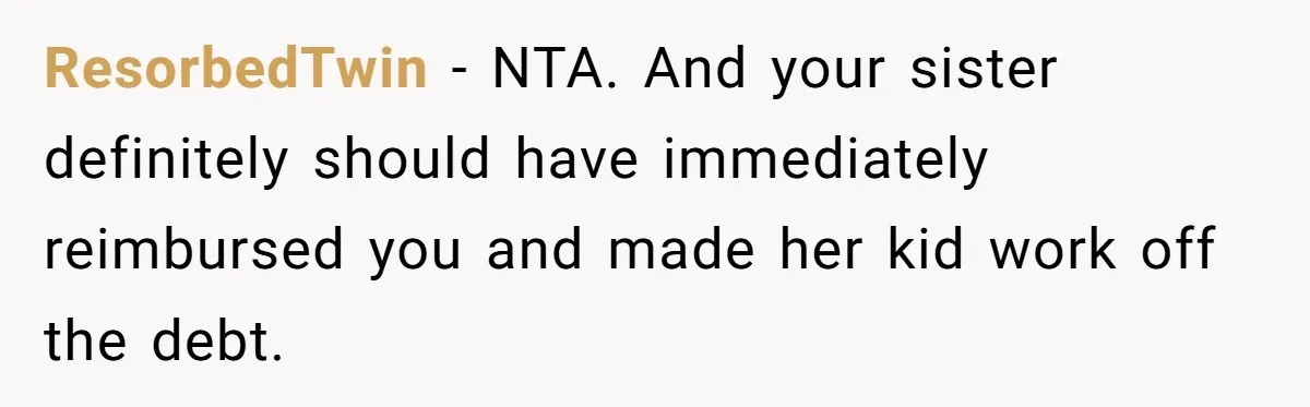 ResorbedTwin − NTA. And your sister definitely should have immediately reimbursed you and made her kid work off the debt.