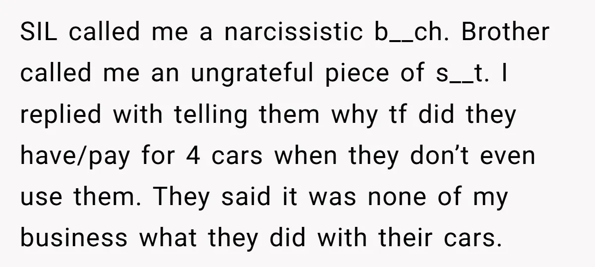 SIL called me a narcissistic b__ch. Brother called me an ungrateful piece of s__t. I replied with telling them why tf did they have/pay for 4 cars when they don’t...
