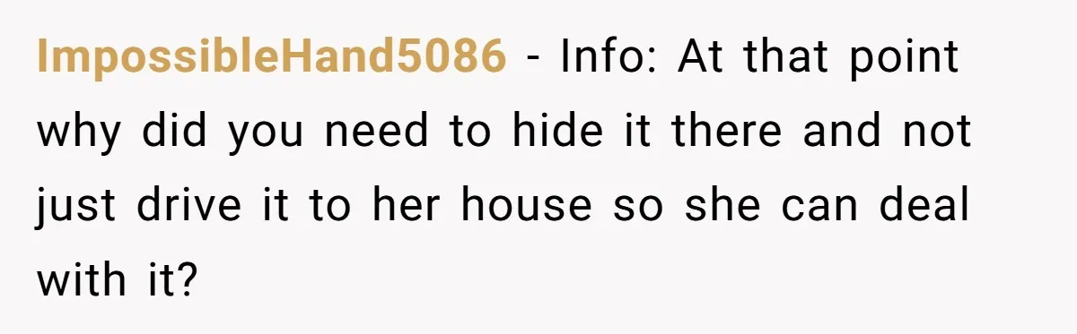 ImpossibleHand5086 − Info: At that point why did you need to hide it there and not just drive it to her house so she can deal with it?