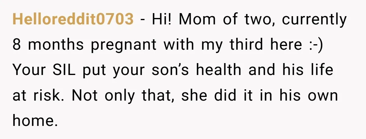 Helloreddit0703 − Hi! Mom of two, currently 8 months pregnant with my third here :-) Your SIL put your son’s health and his life at risk. Not only that, she...