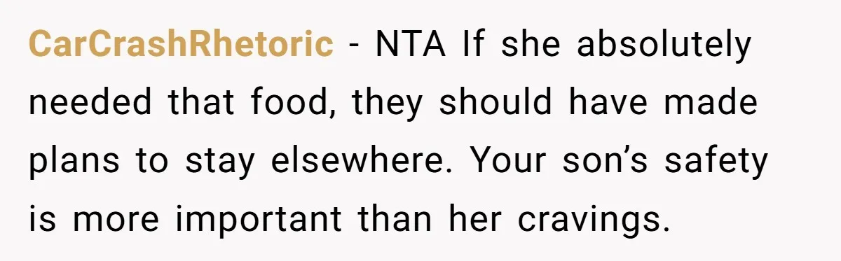 CarCrashRhetoric − NTA If she absolutely needed that food, they should have made plans to stay elsewhere. Your son’s safety is more important than her cravings.