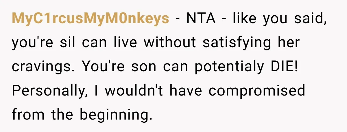 MyC1rcusMyM0nkeys − NTA - like you said, you're sil can live without satisfying her cravings. You're son can potentialy DIE! Personally, I wouldn't have compromised from the beginning.