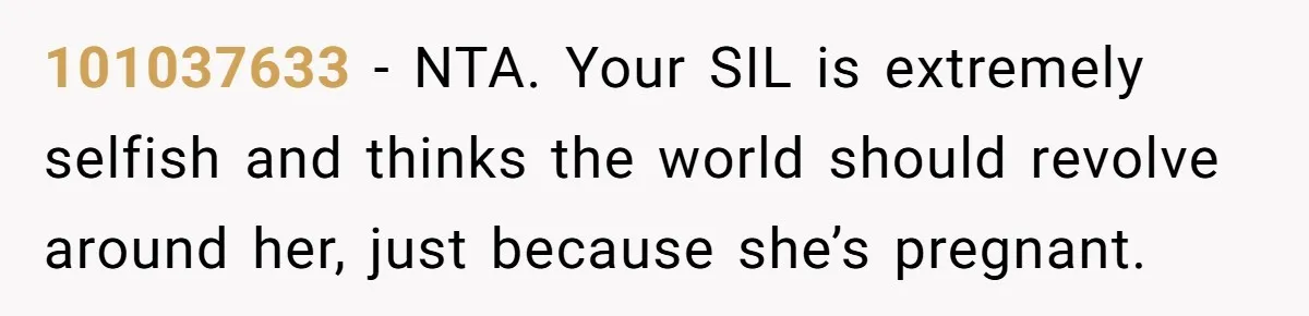 101037633 − NTA. Your SIL is extremely selfish and thinks the world should revolve around her, just because she’s pregnant.