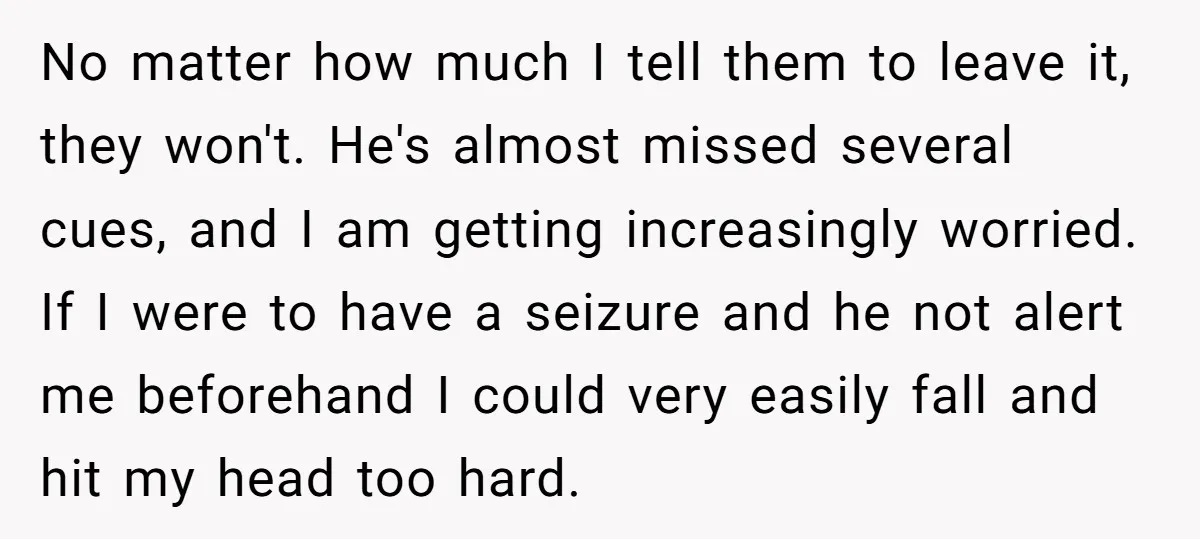 No matter how much I tell them to leave it, they won't. He's almost missed several cues, and I am getting increasingly worried. If I were to have a seizure...