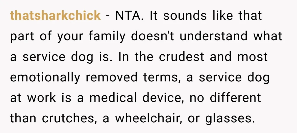 thatsharkchick − NTA. It sounds like that part of your family doesn't understand what a service dog is. In the crudest and most emotionally removed terms, a service dog at...