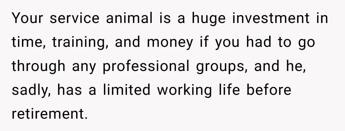 Your service animal is a huge investment in time, training, and money if you had to go through any professional groups, and he, sadly, has a limited working life before...
