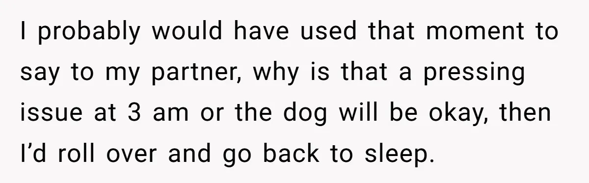 I probably would have used that moment to say to my partner, why is that a pressing issue at 3 am or the dog will be okay, then I’d roll...