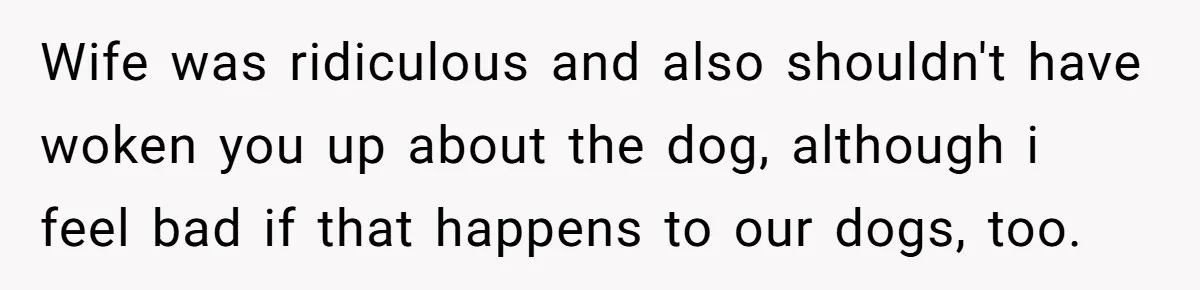 Wife was ridiculous and also shouldn't have woken you up about the dog, although i feel bad if that happens to our dogs, too.