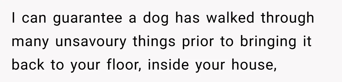 I can guarantee a dog has walked through many unsavoury things prior to bringing it back to your floor, inside your house,