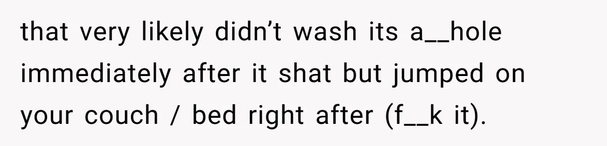 that very likely didn’t wash its a__hole immediately after it shat but jumped on your couch / bed right after (f__k it).