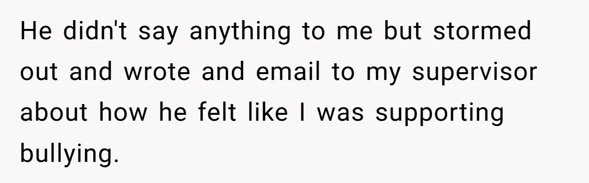 He didn't say anything to me but stormed out and wrote and email to my supervisor about how he felt like I was supporting bullying.