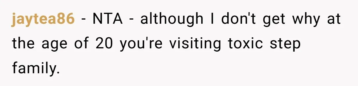 jaytea86 − NTA - although I don't get why at the age of 20 you're visiting toxic step family.
