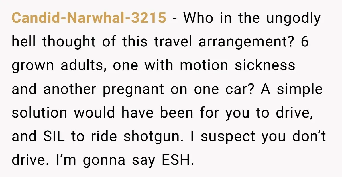 Candid-Narwhal-3215 - Who in the ungodly hell thought of this travel arrangement? 6 grown adults, one with motion sickness and another pregnant on one car? A simple solution would have...