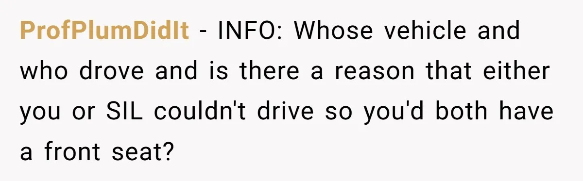ProfPlumDidIt - INFO: Whose vehicle and who drove and is there a reason that either you or SIL couldn't drive so you'd both have a front seat?