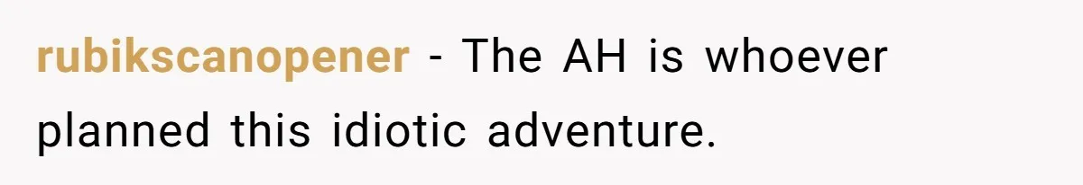 rubikscanopener - The AH is whoever planned this idiotic adventure.