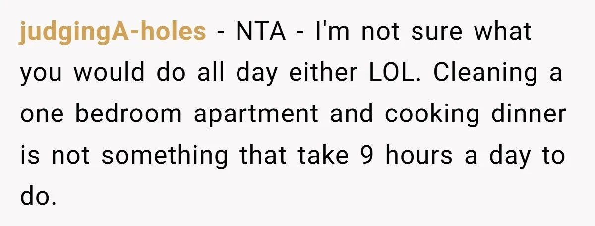 judgingA-holes − NTA - I'm not sure what you would do all day either LOL. Cleaning a one bedroom apartment and cooking dinner is not something that take 9 hours...