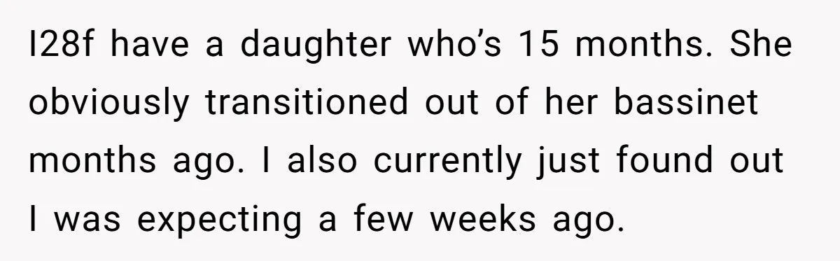 I28f have a daughter who’s 15 months. She obviously transitioned out of her bassinet months ago. I also currently just found out I was expecting a few weeks ago.