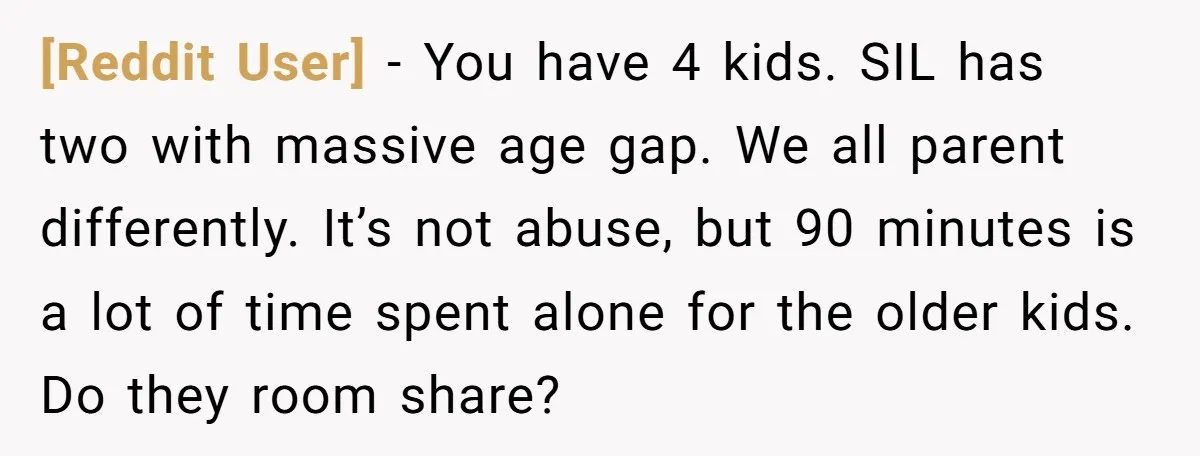 [Reddit User] − You have 4 kids. SIL has two with massive age gap. We all parent differently. It’s not abuse, but 90 minutes is a lot of time spent...