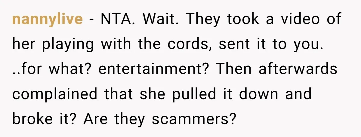 nannylive − NTA. Wait. They took a video of her playing with the cords, sent it to you. ..for what? entertainment? Then afterwards complained that she pulled it down and...