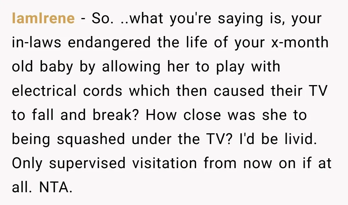 IamIrene − So. ..what you're saying is, your in-laws endangered the life of your x-month old baby by allowing her to play with electrical cords which then caused their TV...