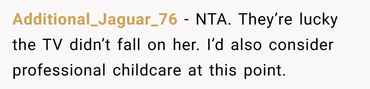 Additional_Jaguar_76 − NTA. They’re lucky the TV didn’t fall on her. I’d also consider professional childcare at this point.