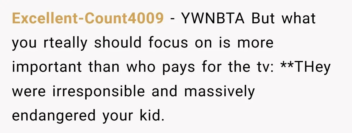 Excellent-Count4009 − YWNBTA But what you rteally should focus on is more important than who pays for the tv: **THey were irresponsible and massively endangered your kid.