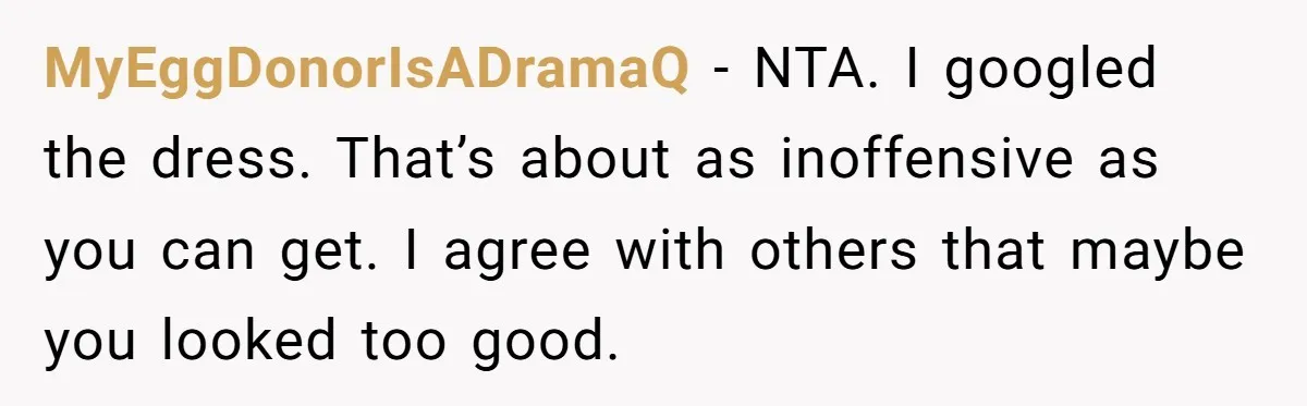 MyEggDonorIsADramaQ − NTA. I googled the dress. That’s about as inoffensive as you can get. I agree with others that maybe you looked too good.