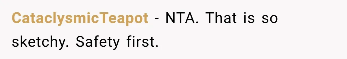 CataclysmicTeapot − NTA. That is so sketchy. Safety first.