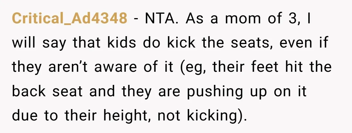 Critical_Ad4348 − NTA. As a mom of 3, I will say that kids do kick the seats, even if they aren’t aware of it (eg, their feet hit the back...