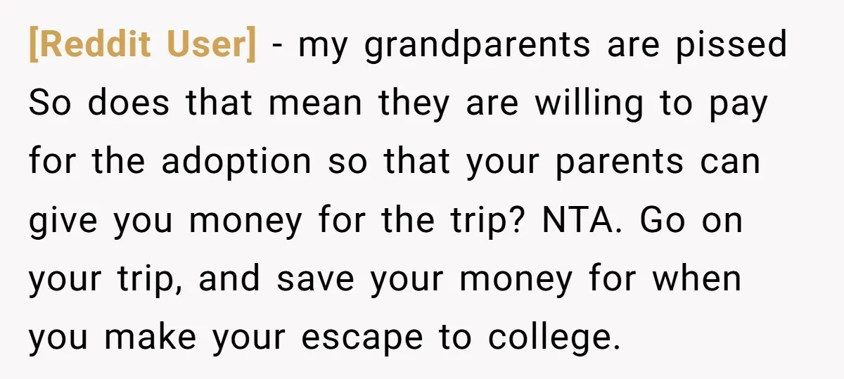 [Reddit User] − my grandparents are pissed So does that mean they are willing to pay for the adoption so that your parents can give you money for the trip?...