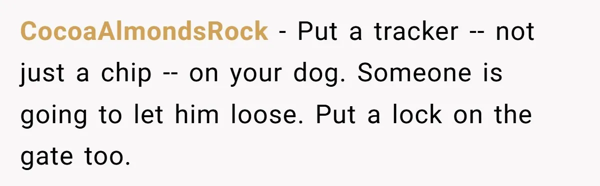 CocoaAlmondsRock − Put a tracker -- not just a chip -- on your dog. Someone is going to let him loose. Put a lock on the gate too.