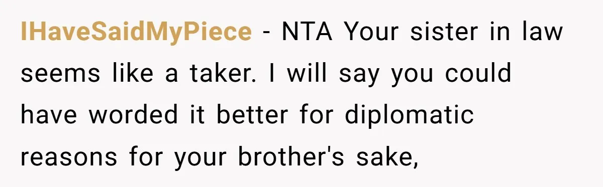 IHaveSaidMyPiece − NTA Your sister in law seems like a taker. I will say you could have worded it better for diplomatic reasons for your brother's sake,