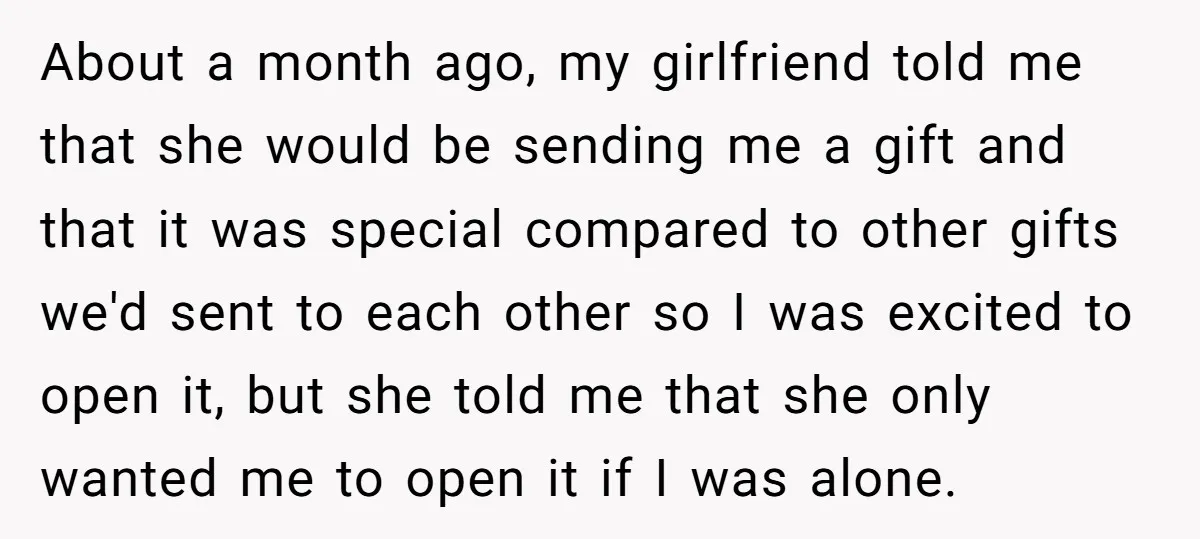 About a month ago, my girlfriend told me that she would be sending me a gift and that it was special compared to other gifts we'd sent to each other...