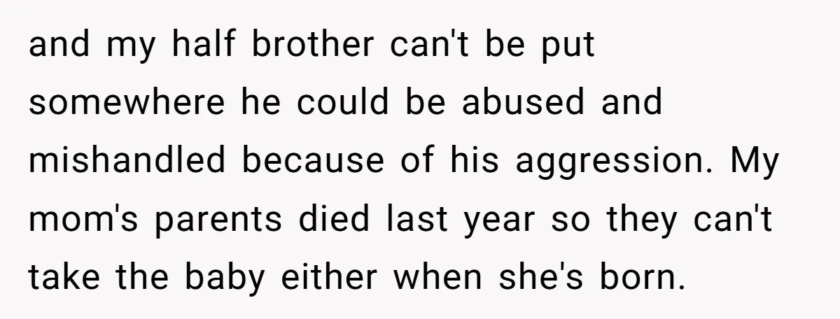 and my half brother can't be put somewhere he could be abused and mishandled because of his aggression. My mom's parents died last year so they can't take the baby...
