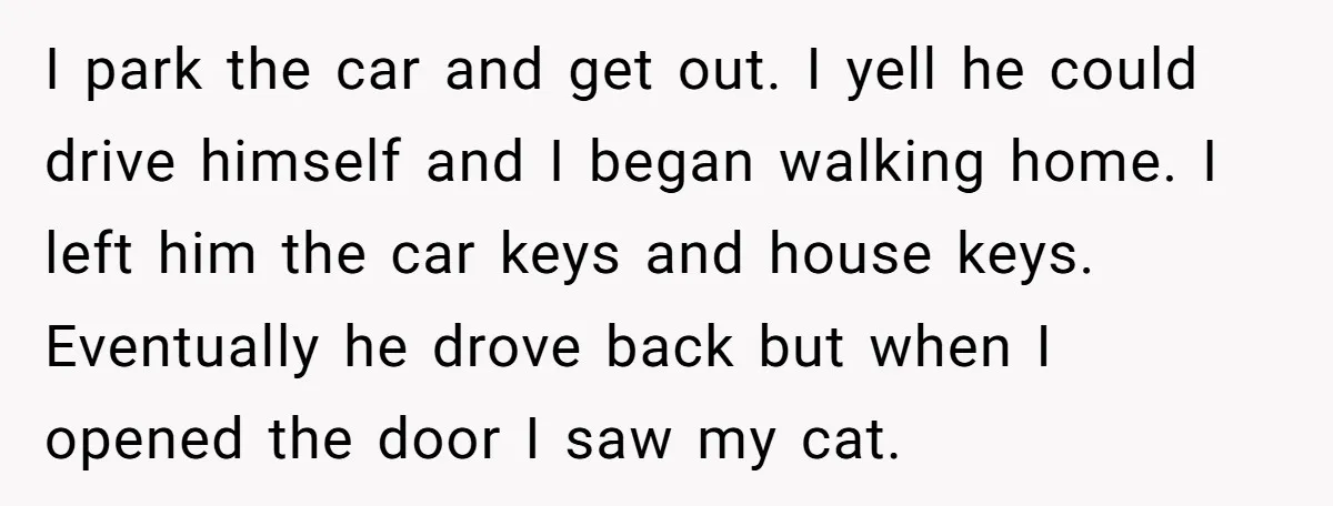 I park the car and get out. I yell he could drive himself and I began walking home. I left him the car keys and house keys. Eventually he drove...