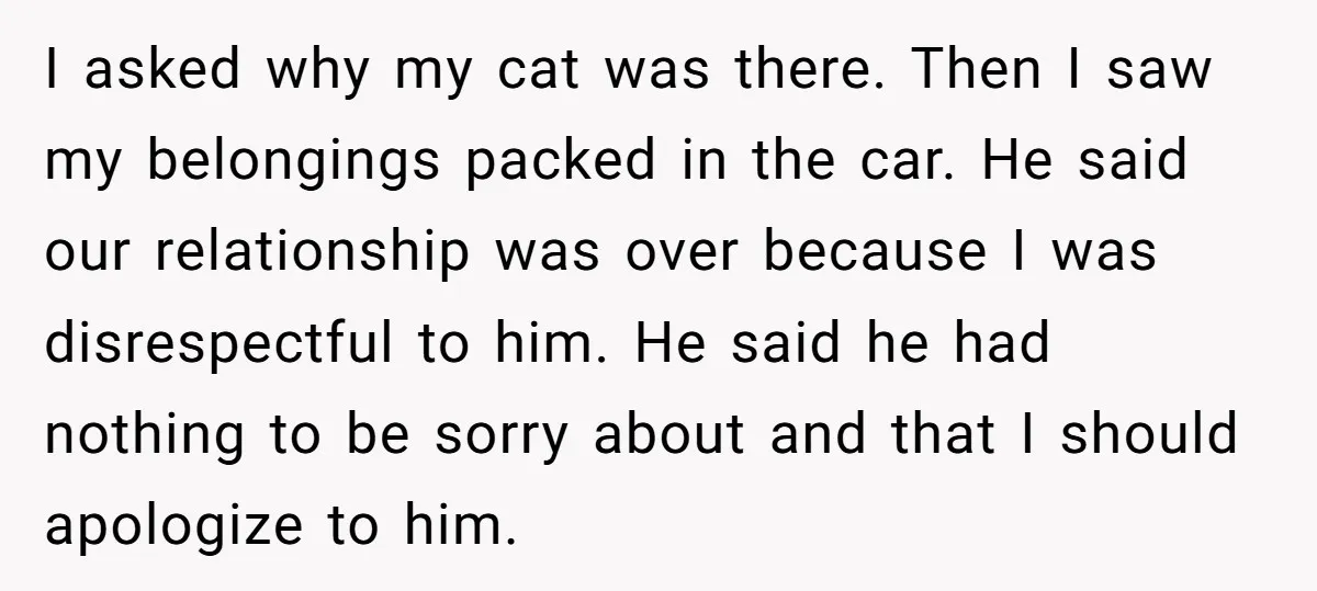 I asked why my cat was there. Then I saw my belongings packed in the car. He said our relationship was over because I was disrespectful to him. He said...