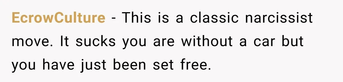 EcrowCulture − This is a classic narcissist move. It sucks you are without a car but you have just been set free.