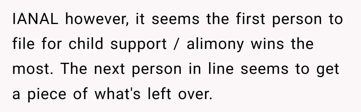 IANAL however, it seems the first person to file for child support / alimony wins the most. The next person in line seems to get a piece of what's left...