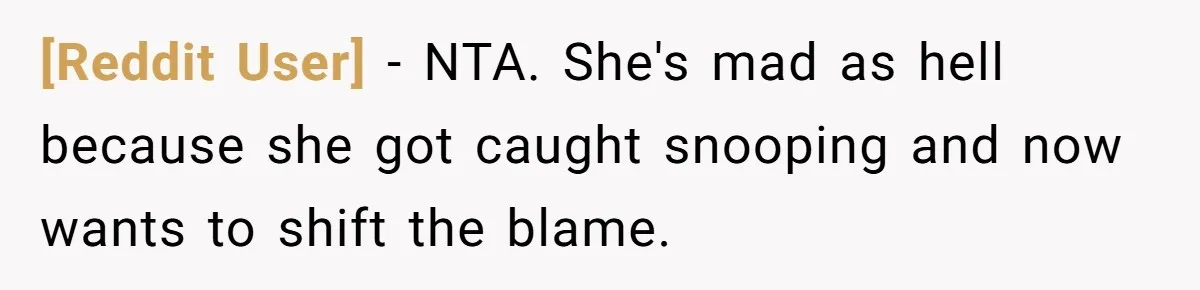 [Reddit User] − NTA. She's mad as hell because she got caught snooping and now wants to shift the blame.