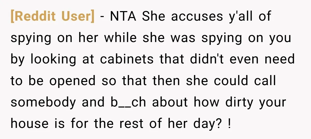 [Reddit User] − NTA She accuses y'all of spying on her while she was spying on you by looking at cabinets that didn't even need to be opened so that...