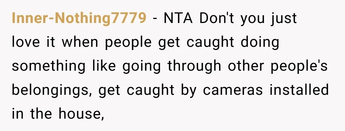 Inner-Nothing7779 − NTA Don't you just love it when people get caught doing something like going through other people's belongings, get caught by cameras installed in the house,