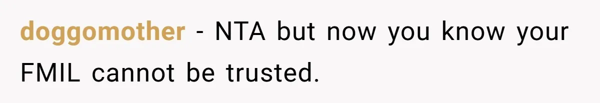 doggomother − NTA but now you know your FMIL cannot be trusted.