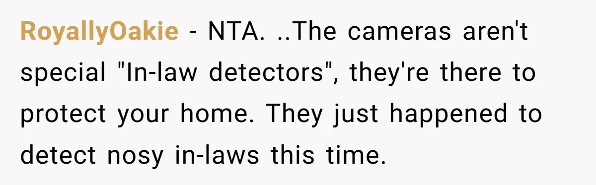 RoyallyOakie − NTA. ..The cameras aren't special "In-law detectors", they're there to protect your home. They just happened to detect nosy in-laws this time.