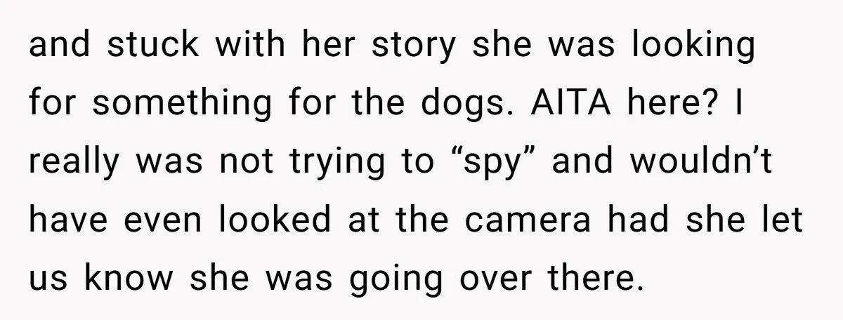 and stuck with her story she was looking for something for the dogs. AITA here? I really was not trying to “spy” and wouldn’t have even looked at the camera...
