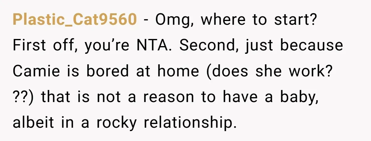 Plastic_Cat9560 − Omg, where to start? First off, you’re NTA. Second, just because Camie is bored at home (does she work? ??) that is not a reason to have a...