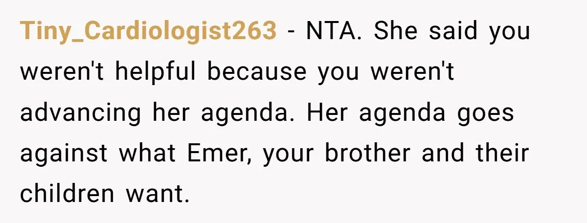 Tiny_Cardiologist263 − NTA. She said you weren't helpful because you weren't advancing her agenda. Her agenda goes against what Emer, your brother and their children want.