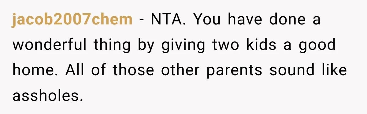 jacob2007chem − NTA. You have done a wonderful thing by giving two kids a good home. All of those other parents sound like assholes.
