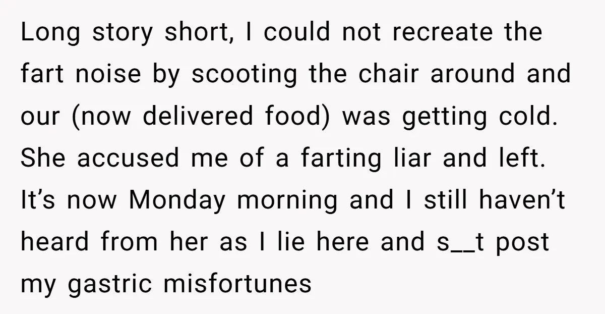 Long story short, I could not recreate the fart noise by scooting the chair around and our (now delivered food) was getting cold. She accused me of a farting liar...