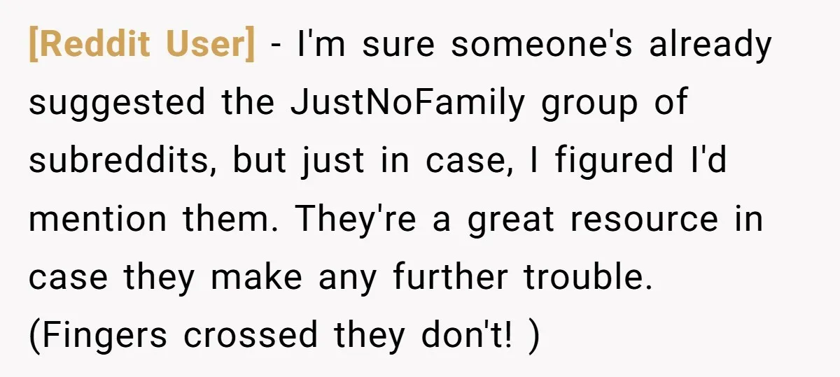 [Reddit User] − I'm sure someone's already suggested the JustNoFamily group of subreddits, but just in case, I figured I'd mention them. They're a great resource in case they make...